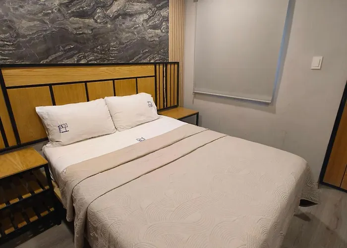 Hotel Torreon México DF